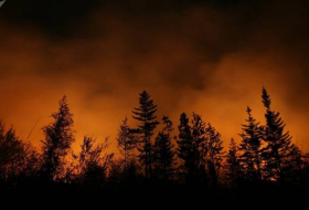 Aumenta en 271 hectáreas la superficie de incendios en Lejano Oriente ruso en un día