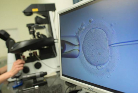 Científicos consiguen desarrollar óvulos fuera del cuerpo humano