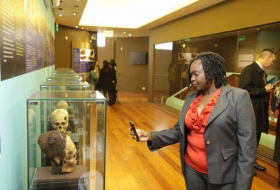 El Museo de Arqueología expondrá piezas inéditas de la Necrópolis de Toya