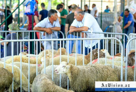 Azerbaiyán celebra Eid al-Adha