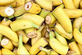 Plaga amenaza las bananas del todo el mundo- Inventan método para frenarlo