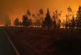  Evacúan 35 viviendas en Chile ante incendio forestal 
