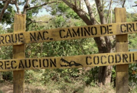 Bosques panameños se encuentran en peligro de desaparecer