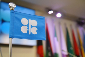   La OPEP+ acuerda la prórroga del recorte petrolero por nueve meses  