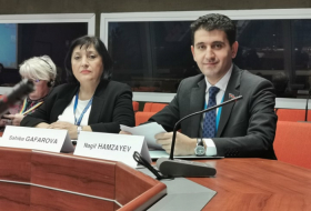  El diputado azerbaiyano se elige vicepresidente de PACE  
