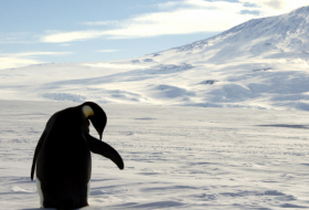 Se registra por primera vez una 'ola de calor' en la Antártida