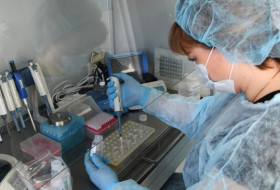   La vacuna rusa contra el coronavirus se probará en 60 voluntarios  
