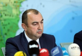     Viceministro:   Los armenios talaron y destruyeron los antiguos plátanos orientales en el distrito de Zangilan  