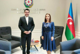   Leyla Abdullayeva se reunió con el embajador iraní  