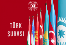 En Vivo: Comienza la VIII Cumbre de Jefes de Estado del Consejo Turco