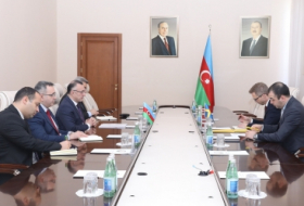 Se discute la ampliación de la cooperación sanitaria entre Azerbaiyán y Suecia