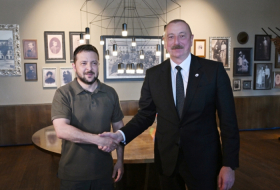   Aliyev y Zelensky mantienen conversación telefónica   