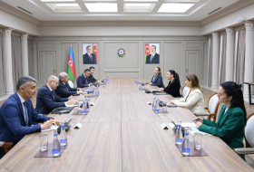 El Primer Ministro de Azerbaiyán se reunió con la Viceprimera Ministra de Albania 