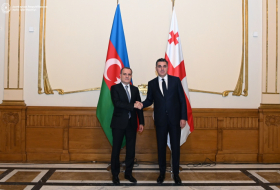   Se reunieron los cancilleres de Azerbaiyán y Georgia  