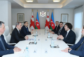  El Canciller de Azerbaiyán se reúne con el Primer Ministro de Georgia 