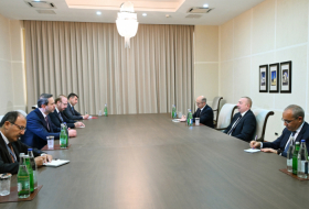  Presidente Ilham Aliyev recibe al ministro de Energía y Recursos Naturales de Türkiye  