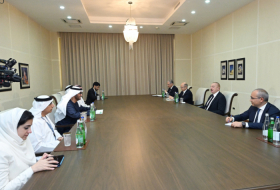  Ilham Aliyev recibe al ministro de los Emiratos Árabes Unidos 