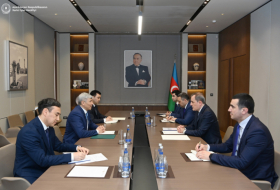   Se celebra un intercambio de opiniones sobre la realización de proyectos conjuntos entre Azerbaiyán y Kirguistán  