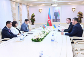 Azerbaiyán y Ucrania analizan el estado actual de sus relaciones