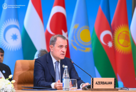   Canciller azerbaiyano proporcionó la información a los colegas de la OET sobre el proceso de normalización de las relaciones entre Azerbaiyán y Armenia  