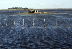 Inundaciones afectan ocho millones de hectáreas en cuatro provincias argentinas
