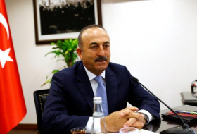 Çavuşoğlu: “No se puede discriminar entre las organizaciones terroristas“