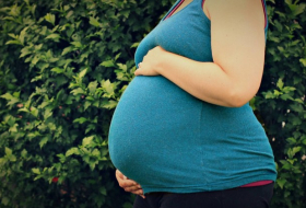 El embarazo cambia el cerebro de la madre