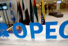 OPEP espera que países no miembros recorten producción petrolera en más de 600.000 b/d 