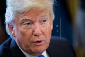 Trump: “EEUU está dispuesto a cooperar con cualquier país en la lucha contra Daesh“ 