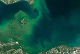 Científicos descubren de dónde proviene el `ácido zombi` de la costa este de EEUU 