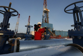 Rusia y Venezuela abordan medidas en mercado petrolero  