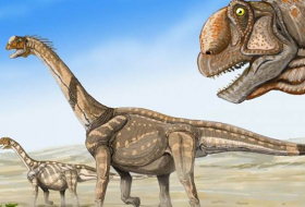 Hallan en Argentina los restos de un dinosaurio del tamaño de un avión intercontinental