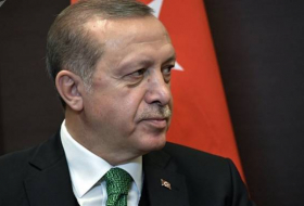Qué busca Erdogan en el Golfo Pérsico