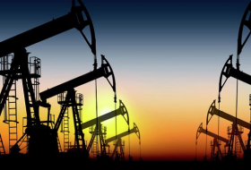 Exsecretario de la OPEP: Ecuador deberá ceder explotación petrolera al sector privado  