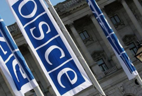 La OSCE pide a España proporcionalidad en el uso de la fuerza y respeto a las libertades