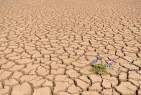 La sequía en España será principal asunto del Foro de la Economía del Agua