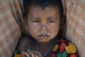 ONU alerta de ‘elementos de genocidio’ contra los rohingyas