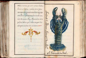 La Biblioteca Nacional adquiere un manuscrito de Antonio de Recondo sobre las aves de Mallorca