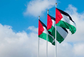 Palestina llama a la ONU a investigar los ataques de Israel en la Franja de Gaza