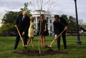 Desaparece antes de una semana árbol de Macron en la Casa Blanca