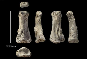 El hallazgo de un dedo de 85.000 años podría reescribir la historia de la especie humana