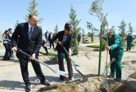 Ilham Aliyev asiste a la campaña de plantación de árboles