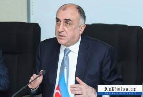 Ministro de Exteriores azerbaiyano se encuentra de visita en Bélgica