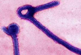 La OMS, alarmada por la llegada del ébola a una ciudad congolesa