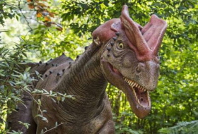 Un nuevo estudio pone en duda la manera clásica de representar a los dinosaurios