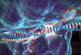 Científicos identifican un gen que puede tratar el cáncer