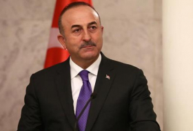 Çavuşoğlu: Turquía es uno de los países más apropiados en el mundo para hacer inversión
