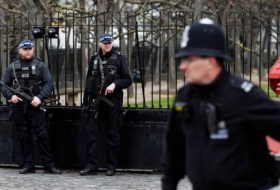 VIDEO: Despliegan operativo policial tras chocar un coche contra la valla del Parlamento británico