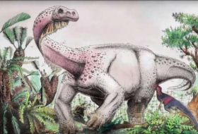 El más grande del Jurásico: científicos identifican a un 'abuelo' del tiranosaurio