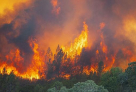 Alertan que calentamiento global aumentará los incendios forestales en Europa